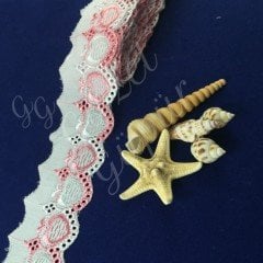 F 29 Fisto - Kalpli Fisto