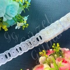 F ARA1 Fisto - Ara Fisto