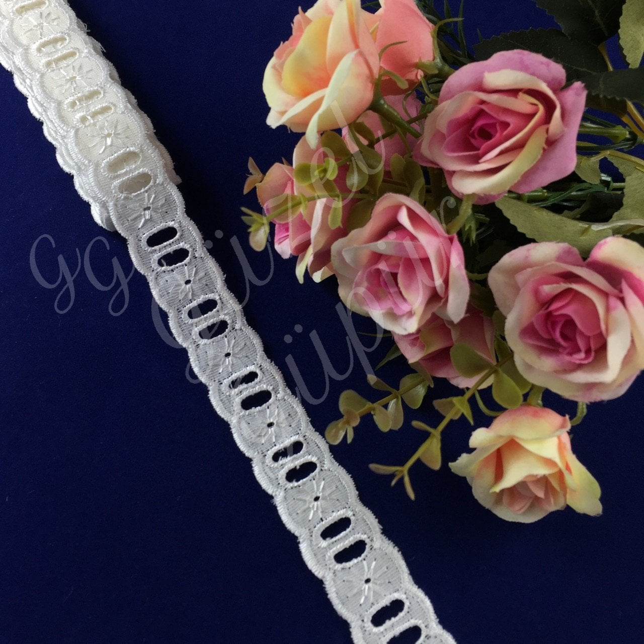 F ARA1 Fisto - Ara Fisto